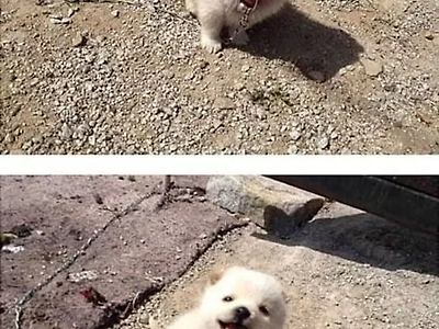헉!!!귀여워~
