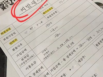 정신나갔군
