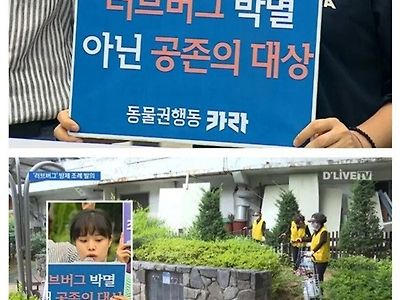 제발 ai라고 해줘라