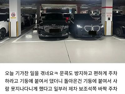 참 재밌게들 산다