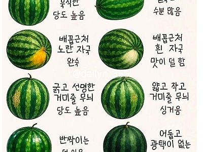 고를때 도움 되겠네