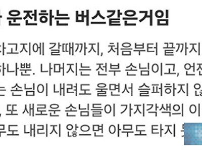 글이 좋네요