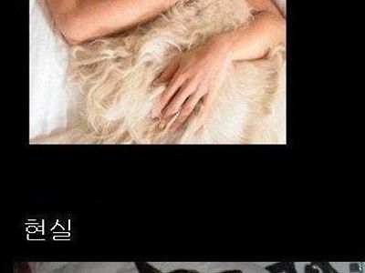 이건 다 똑같구나? ㅎㅎㅎ