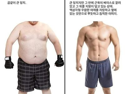 곰상의 차이