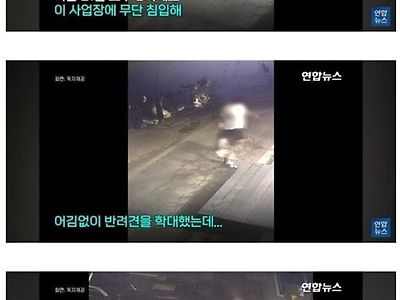 이런게 바로 사이코패스
