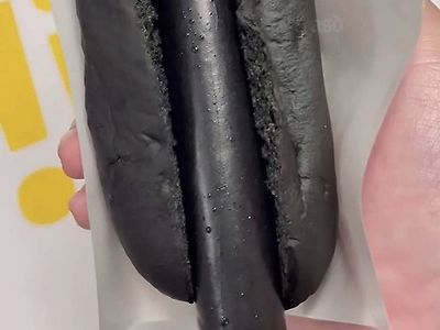 일본 이케아 흑도그