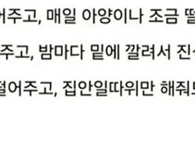 완벽한 남자사용설명서