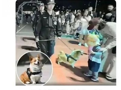 소세지 스틸