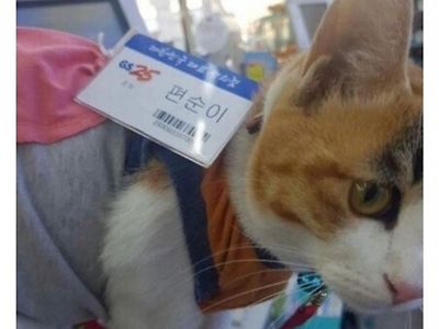인기 많다는 편순이