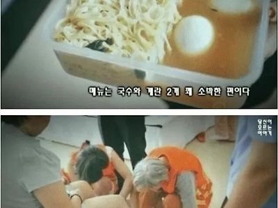 대학병원 해부용 좋네