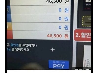 비싼 낮잠