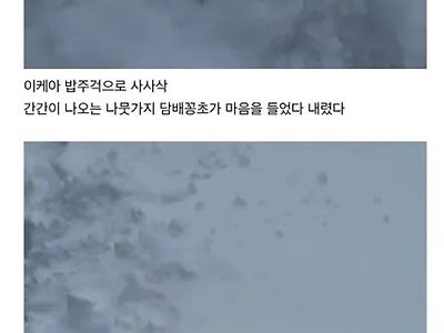 결혼 반지를 잃어버린 사람