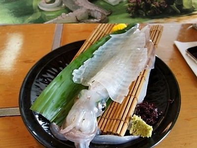 오징어회