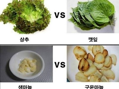 취향 대결