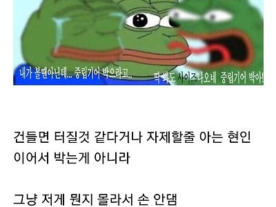 중립기어