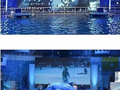 아바타2 일본 시사회 대참사