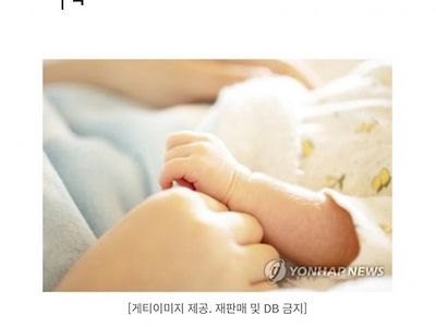 출산율이 낮은 의외의 결론