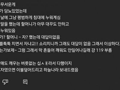 불효자라 할머니 살렸음