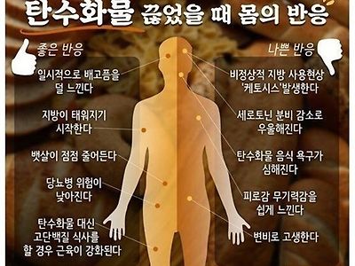 탄수화물을 끊었을때 몸의 변화