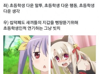 진짜 로리와 가짜 로리 차이점