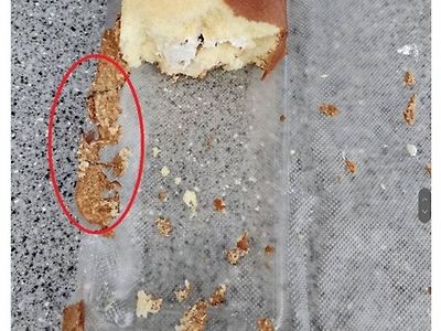 롤케잌 먹는거 가지고 여친과 싸웠다