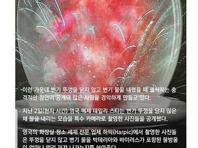 앞으로 변기뚜껑 잘닫자