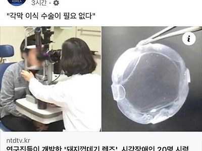 돼지껍데기의 중요성