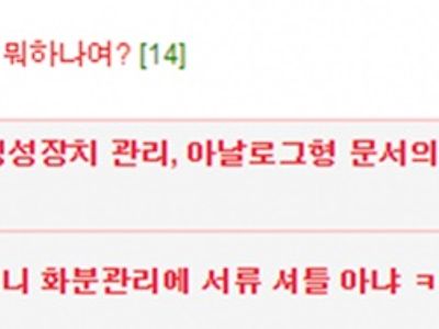 공익되면 머하나요