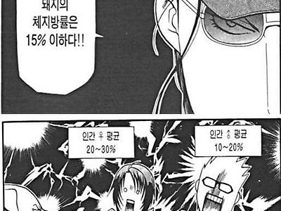 뚱뚱한 사람을 돼지라고 하면 안됨.