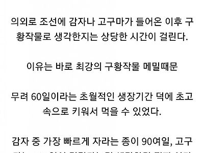 조선시대에 감자를 구황작물 최하위로 본 이유