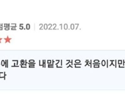 솔직한 리뷰