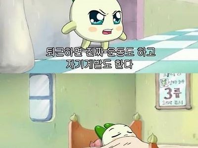 직장인들이 많이들 한다는 거짓말