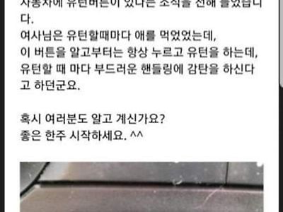 자동차 유턴버튼