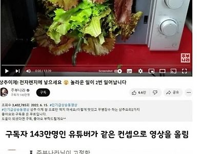 97만 유튜버 영상 카피 한 143만 유투버