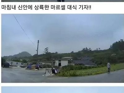 신안 찾아가 신안노예 취재한 영국 기자