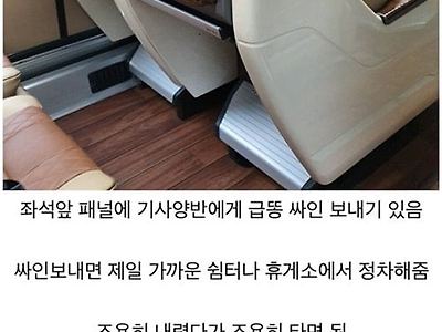 프리미엄 버스의 반전.