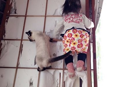 고양이에게 질 수 없었던 아이