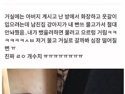 남친집 강아지가 내빤스 물어감