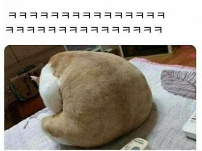 발톱깎는 뒷태