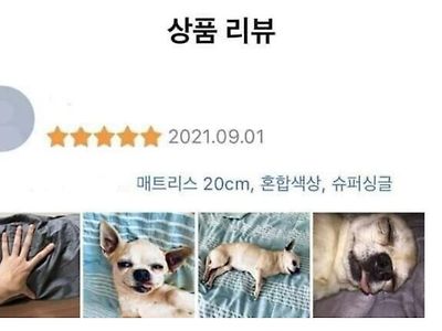 지름신 불러오는 상품의 성능