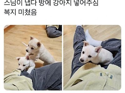 무조건 힐링되는 어느 템플스테이