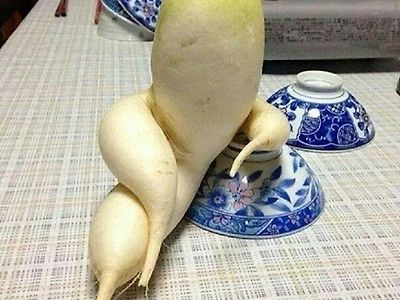 요염하네