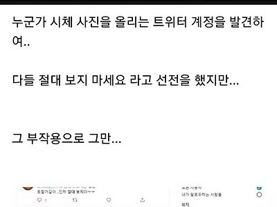트위터 인기 단어