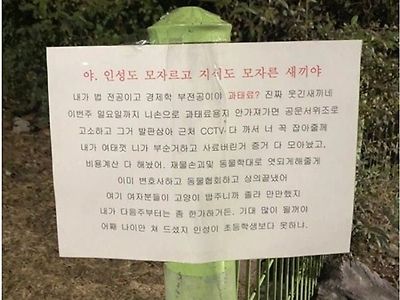 발작버튼 눌려 개발광 시전 캣맘