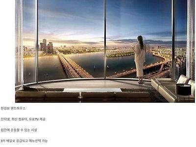 1년애 5억