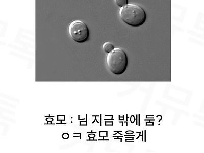 열 받는 제과 제빵 공부