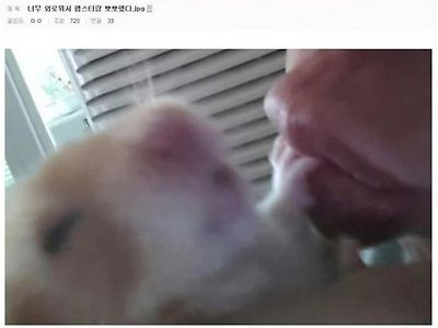 사람이 외로워지면 이렇게 위험합니다