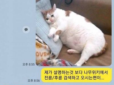 복창 터지는 중고차 딜러