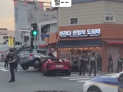 도시락은 내가 먼저
