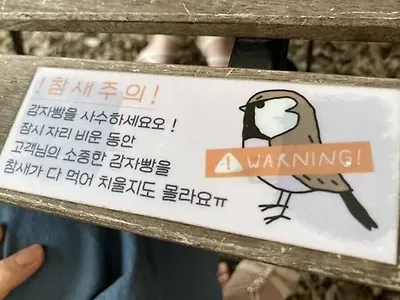 감자빵 루팡